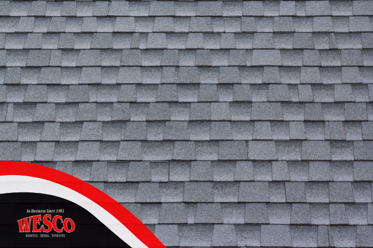 What to Ask Your Atascocita Roofing Company During a Residential Roofing Inspection