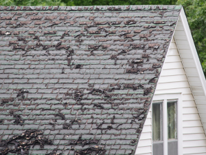 Old roof with shingle damage.