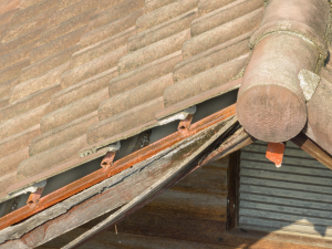 Roof rot and missing shingles.