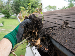 Gutter cleaning service on a residential roof