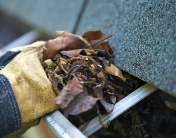 Professional roofers preparing roof and gutters for hurricane season