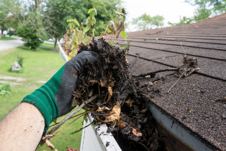 Cleaning gutters on a Humble home